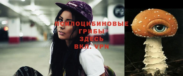 2c-b Бородино