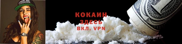 2c-b Бородино