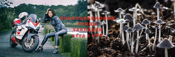 2c-b Бородино